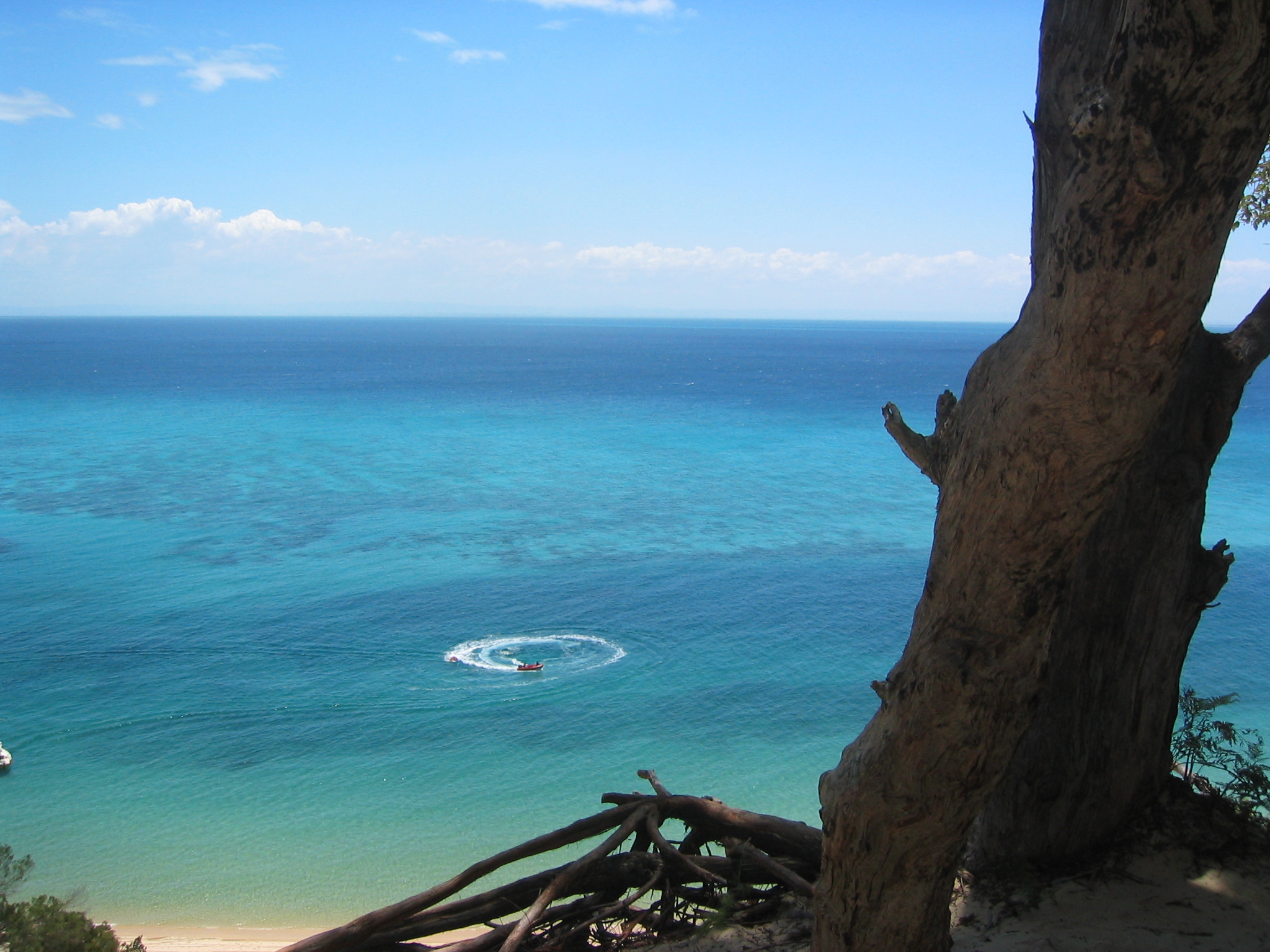viewfromdune.jpg