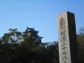 far-from-pagoda.jpg