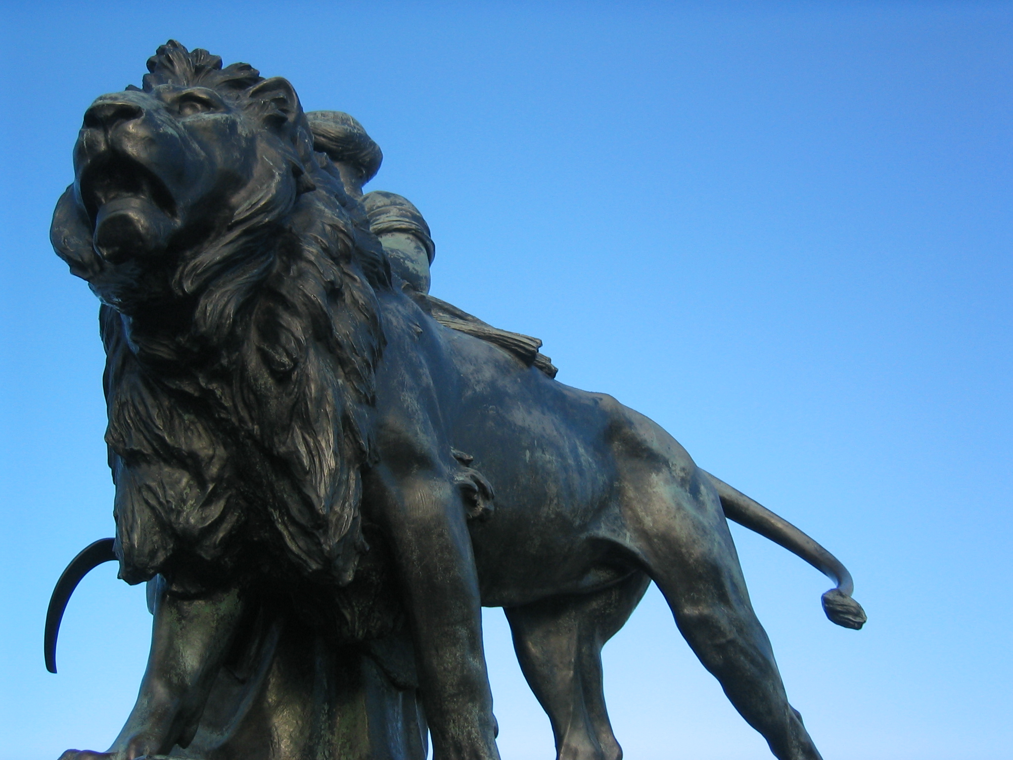 lion.jpg