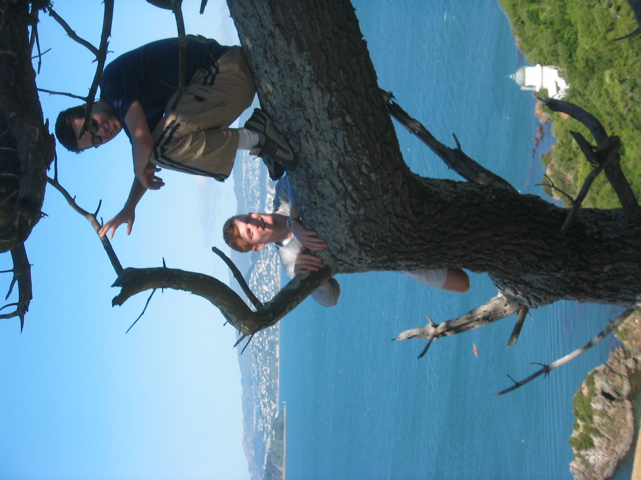 meandscottinthetree.jpg